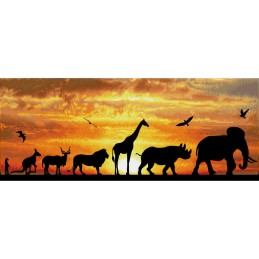 AFRICAN SKY