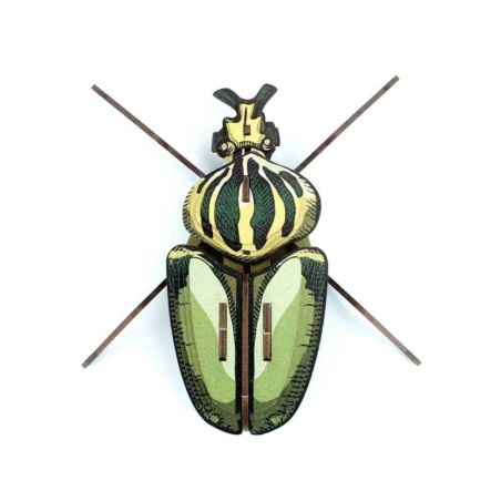 INSECTO - GLOBULUS GIGANTICUS