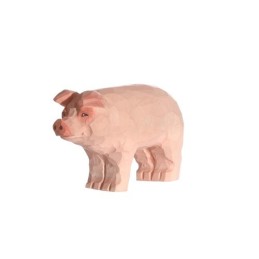 PIG IN WOOD