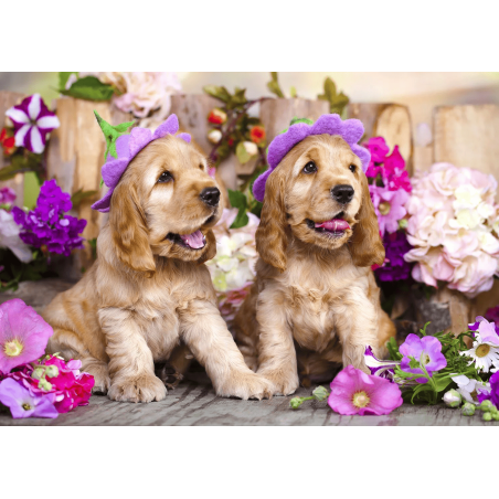 P. 1000 CACHORROS SPANIEL CON SOMBREROS DE FLORES