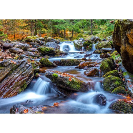 P. 1000 ARROYO DEL BOSQUE EN OTOÑO