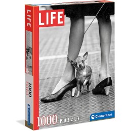 P. 1000 CHIHUAUA - LIFE 2021