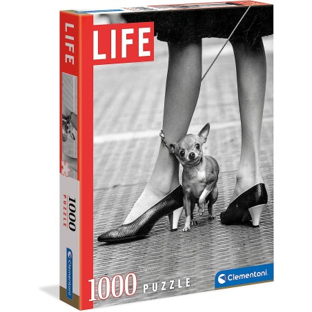 P. 1000 CHIHUAUA - LIFE 2021